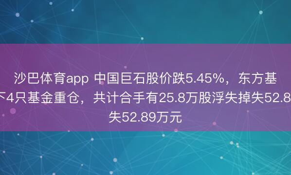 沙巴体育app 中国巨石股价跌5.45%,东方基金旗下4只基金重仓,共计合手有25.8万股浮失掉失52.89万元