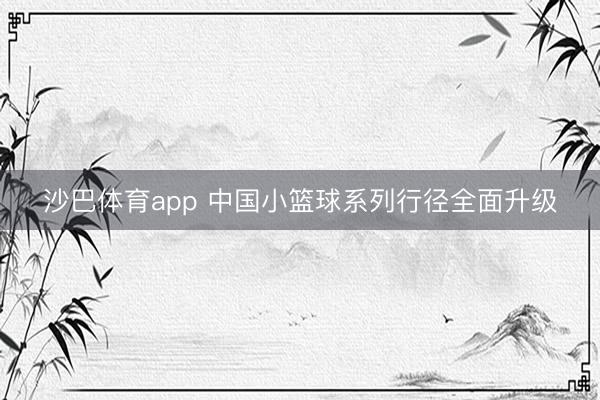 沙巴体育app 中国小篮球系列行径全面升级