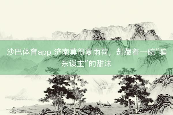 沙巴体育app 济南莫得夏雨荷，却藏着一碗“骗东谈主”的甜沫