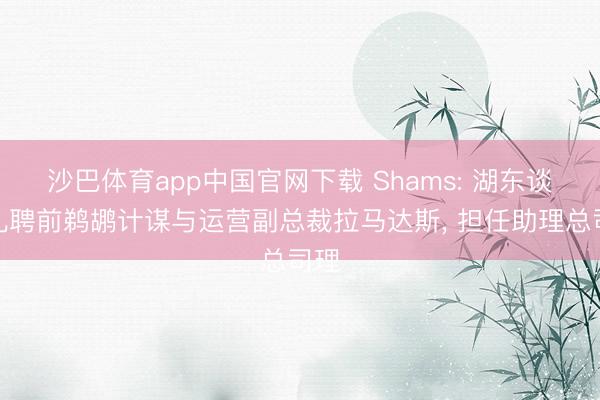 沙巴体育app中国官网下载 Shams: 湖东谈主礼聘前鹈鹕计谋与运营副总裁拉马达斯, 担任助理总司理