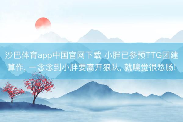 沙巴体育app中国官网下载 小胖已参预TTG团建算作， 一念念到小胖要离开狼队， 就嗅觉很愁肠!