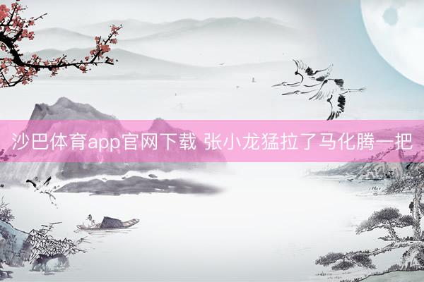 沙巴体育app官网下载 张小龙猛拉了马化腾一把