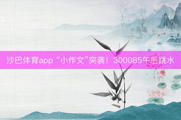 沙巴体育app “小作文”突袭！300085午后跳水