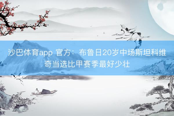 沙巴体育app 官方：布鲁日20岁中场斯坦科维奇当选比甲赛季最好少壮