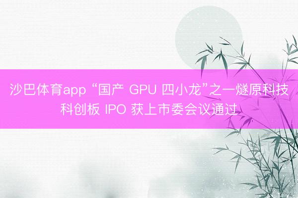沙巴体育app “国产 GPU 四小龙”之一燧原科技科创板 IPO 获上市委会议通过