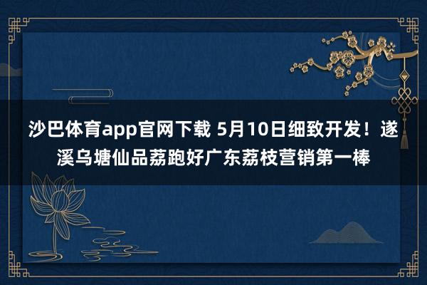 沙巴体育app官网下载 5月10日细致开发！遂溪乌塘仙品荔跑好广东荔枝营销第一棒